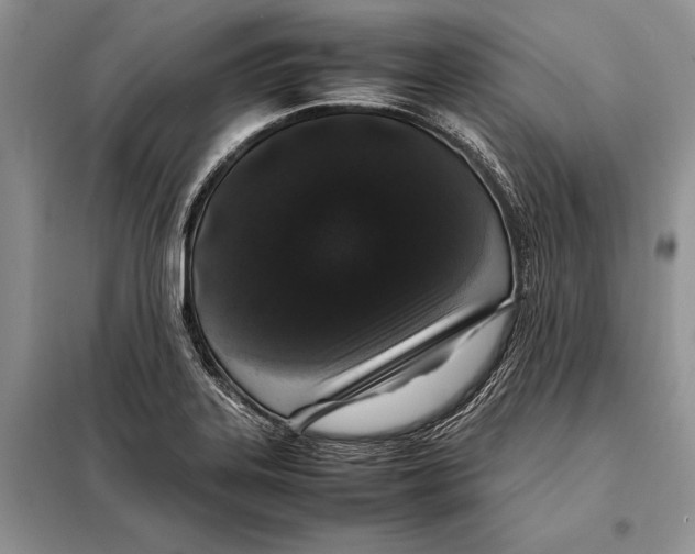 X0000098081323200805021012