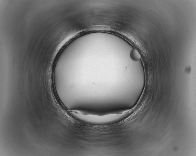 X0000098081325200805021012