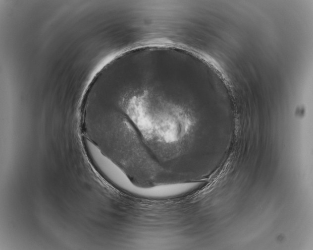 X0000098081326200805021012