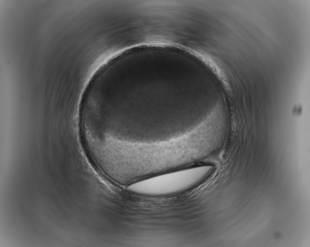 X0000098081327200805021012