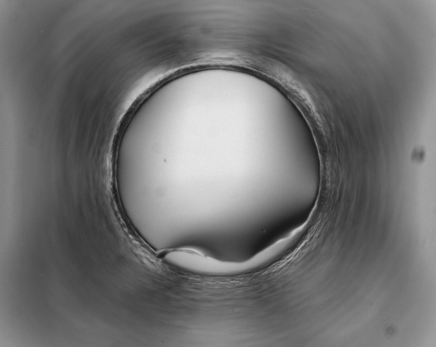 X0000098081328200805021012