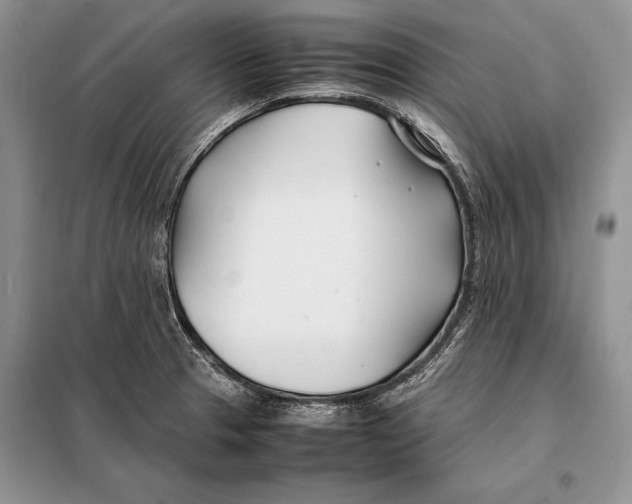 X0000098081329200805021012