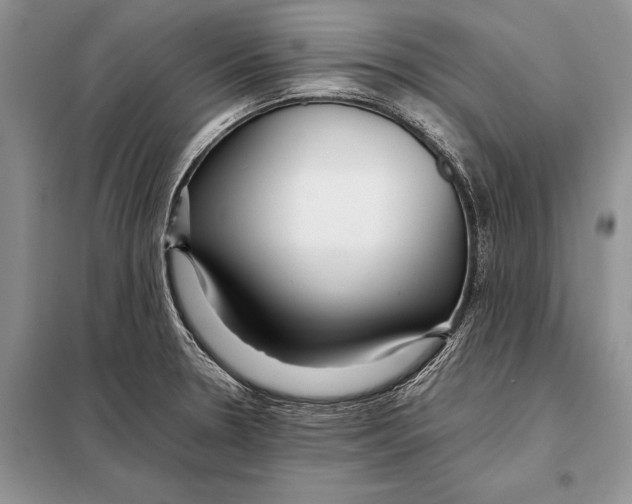 X0000098081330200805021012