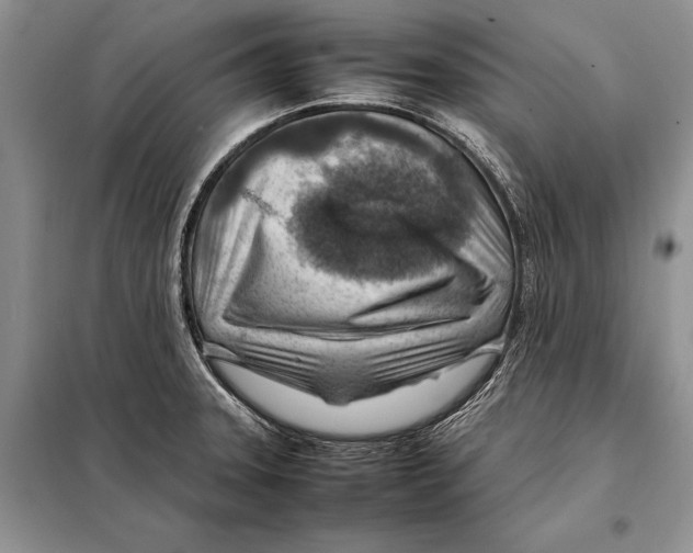 X0000098081331200805021012