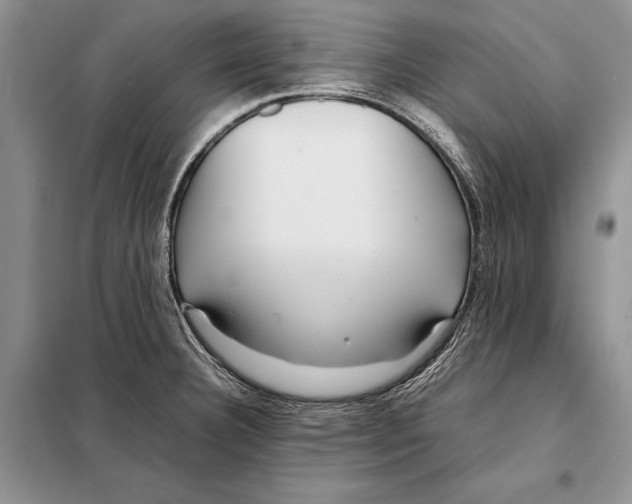 X0000098081332200805021012