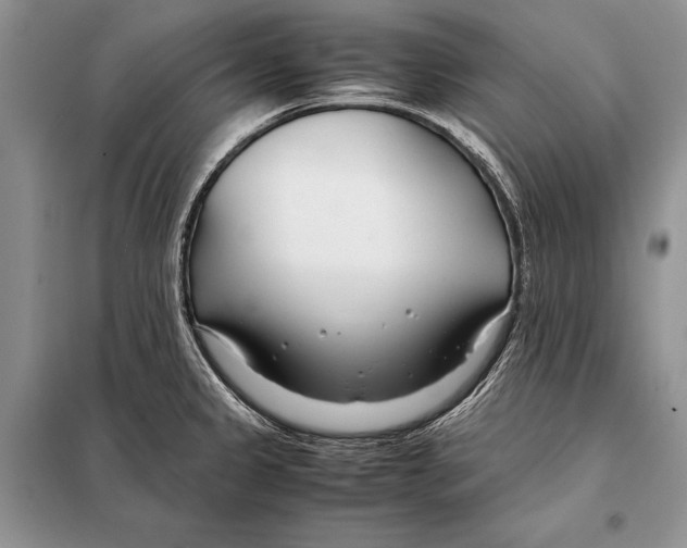 X0000098081333200805021012