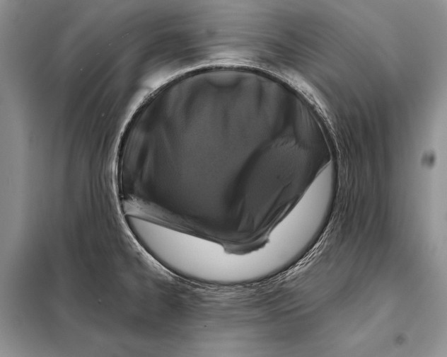 X0000098081334200805021012