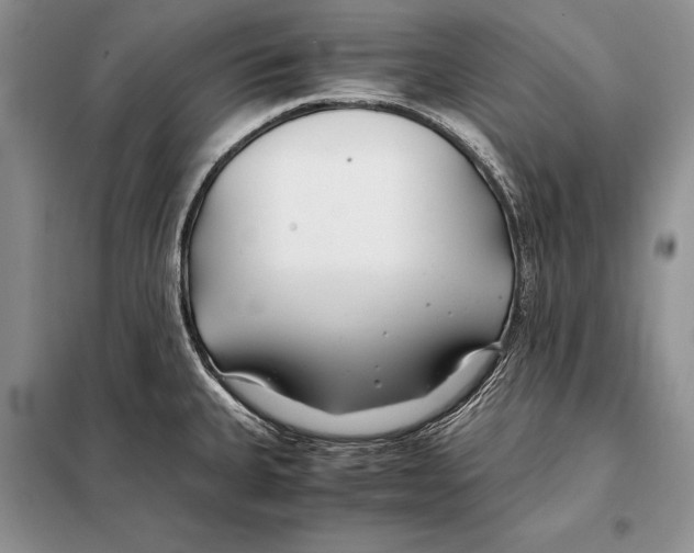 X0000098081335200805021012