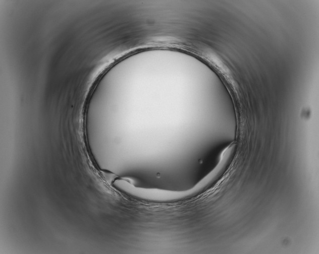 X0000098081336200805021012