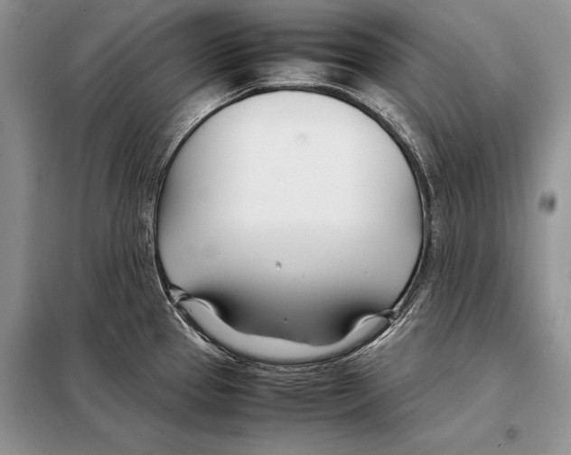 X0000098081337200805021012
