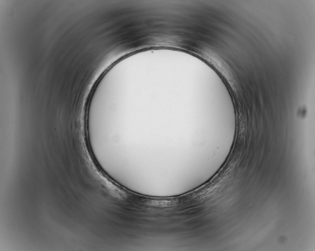 X0000098081339200805021012