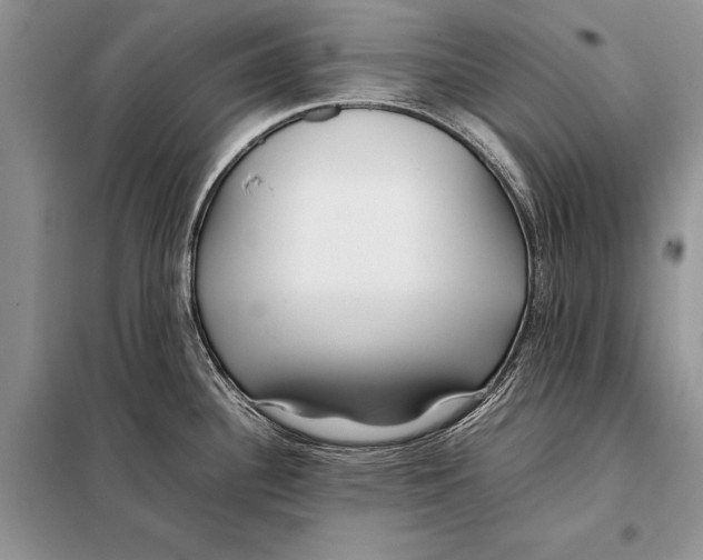 X0000098081340200805021012