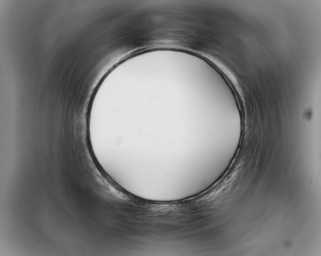 X0000098081341200805021012