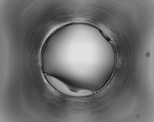 X0000098081342200805021012