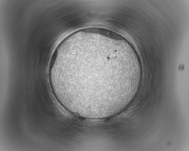 X0000098081344200805021013