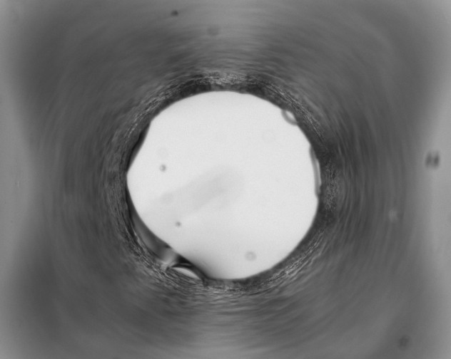 X0000098081345200805021012