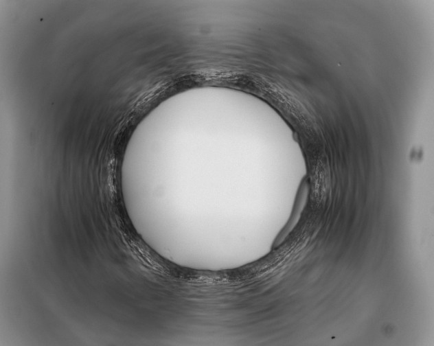 X0000098081346200805021012