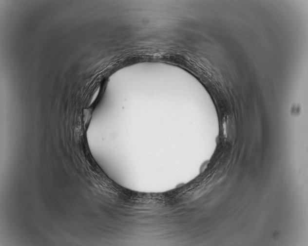 X0000098081347200805021012