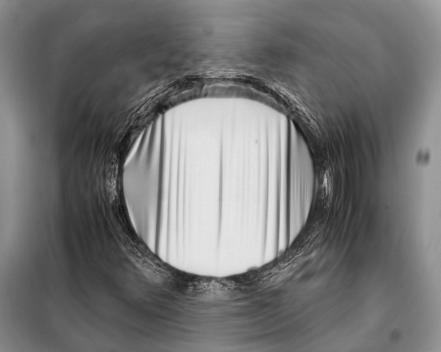 X0000098081348200805021012