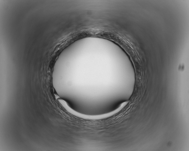 X0000098081349200805021012