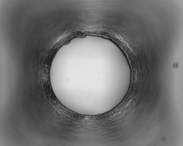 X0000098081350200805021012