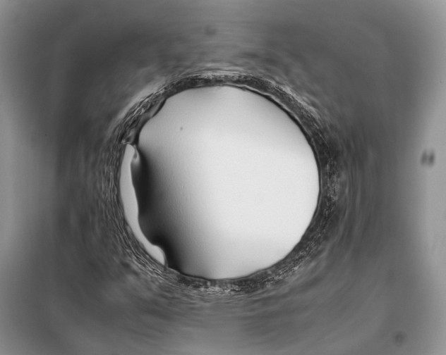 X0000098081351200805021012