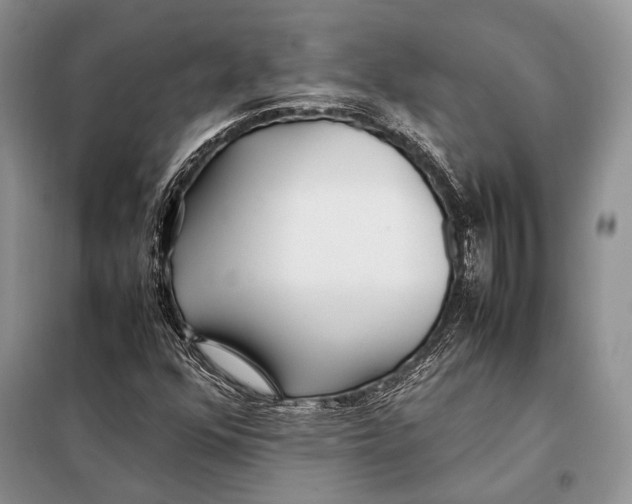 X0000098081352200805021012