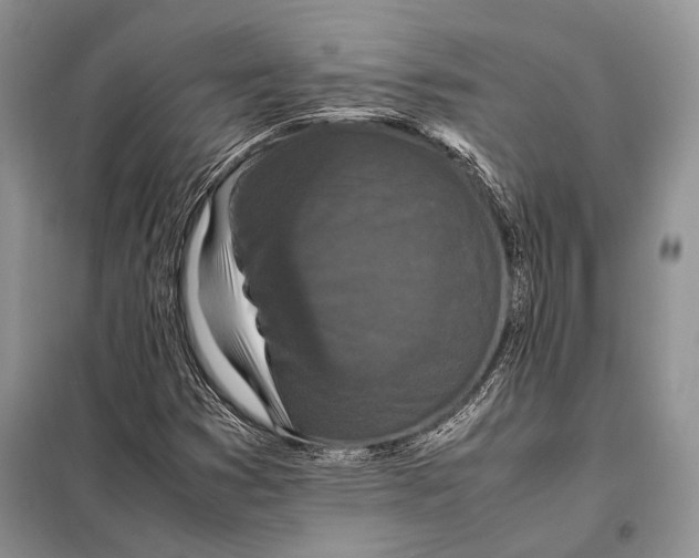 X0000098081353200805021012