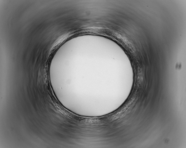 X0000098081354200805021012
