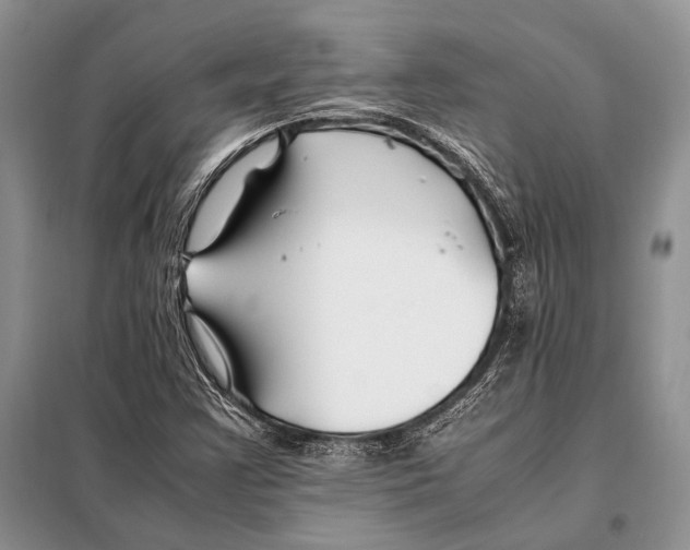 X0000098081355200805021012