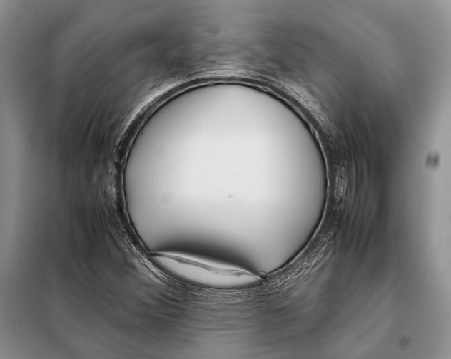 X0000098081356200805021012