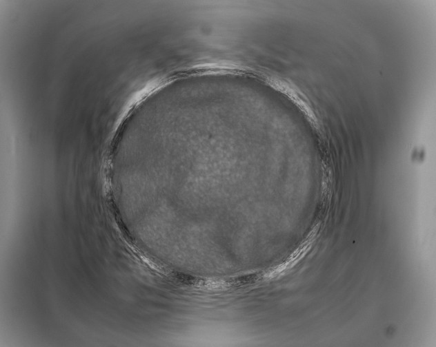 X0000098081357200805021012