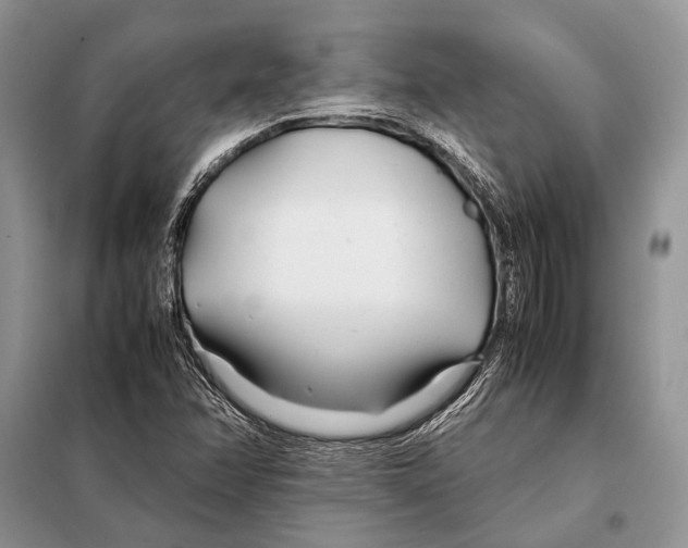 X0000098081358200805021012