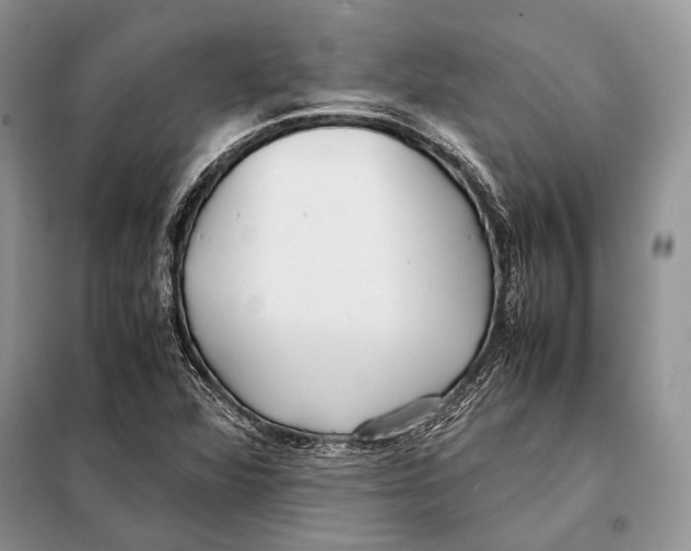 X0000098081360200805021012