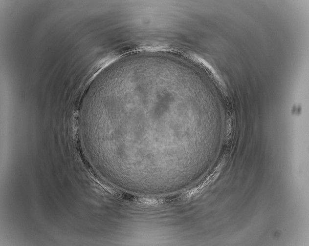 X0000098081361200805021012