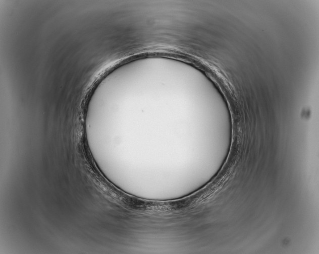 X0000098081363200805021012