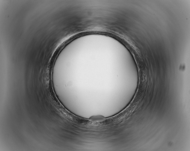 X0000098081364200805021012
