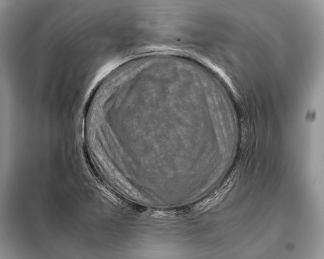 X0000098081365200805021012