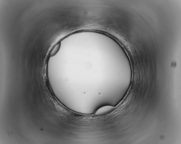 X0000098081366200805021012