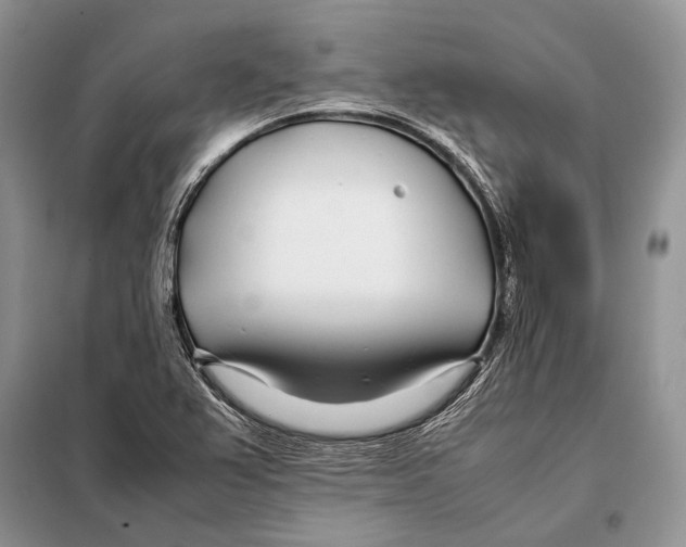 X0000098081367200805021012
