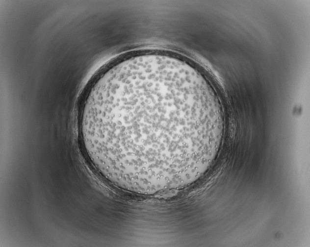 X0000098081368200805021012