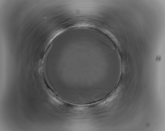 X0000098081369200805021012