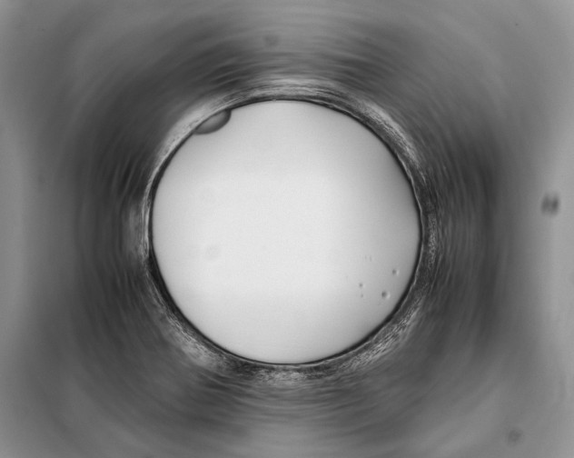 X0000098081370200805021012