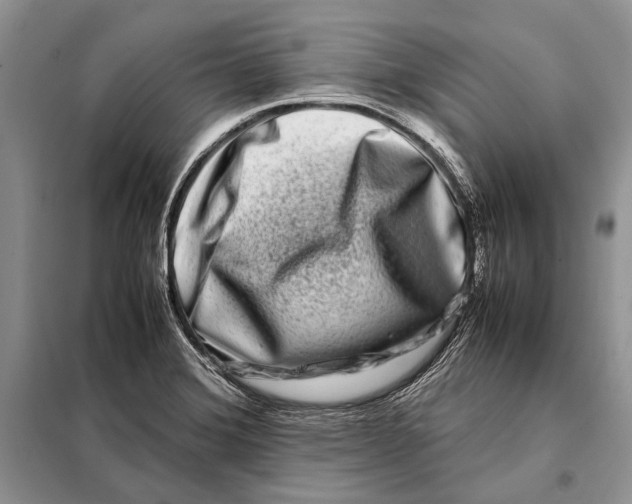 X0000098081372200805021011