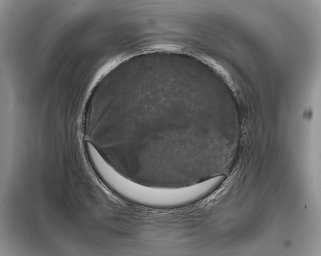 X0000098081373200805021011