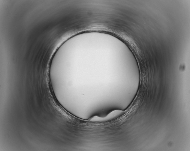 X0000098081374200805021011