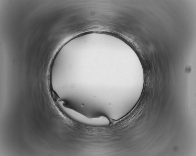 X0000098081375200805021011