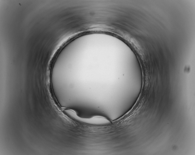X0000098081376200805021011