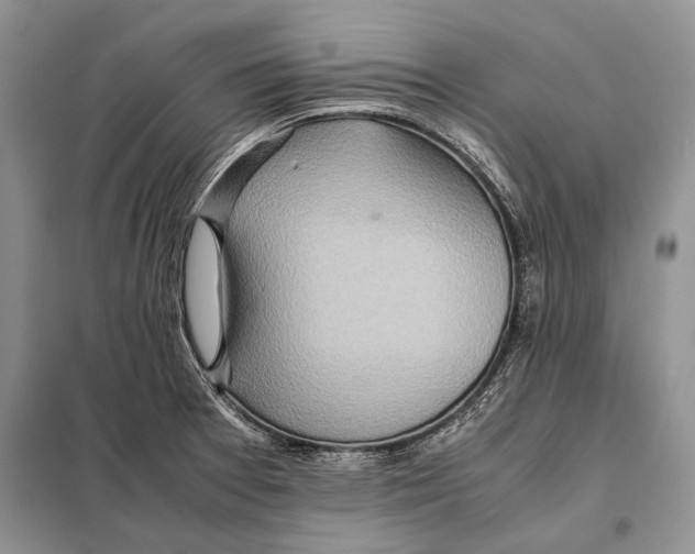 X0000098081377200805021011