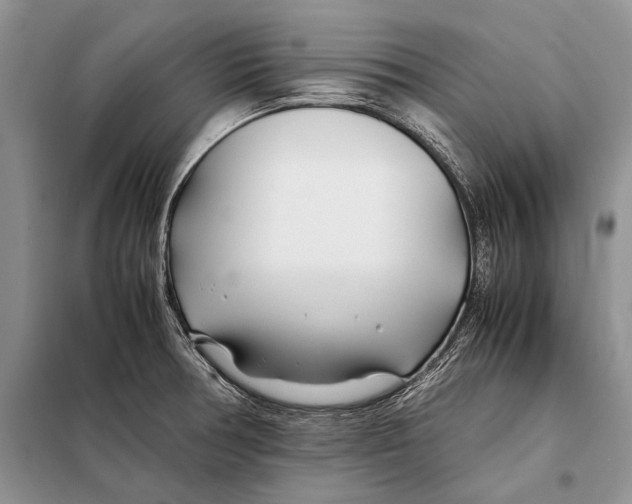 X0000098081378200805021011